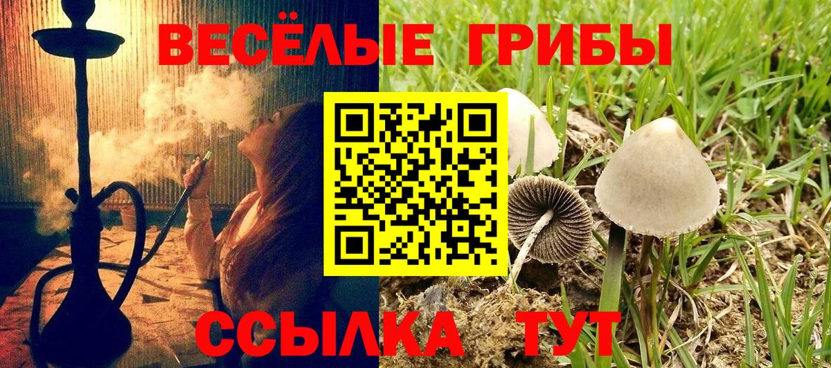Псилоцибиновые грибы GOLDEN TEACHER  Псилоцибиновые грибы Magic Shrooms  Унеча  Вход с VPN 